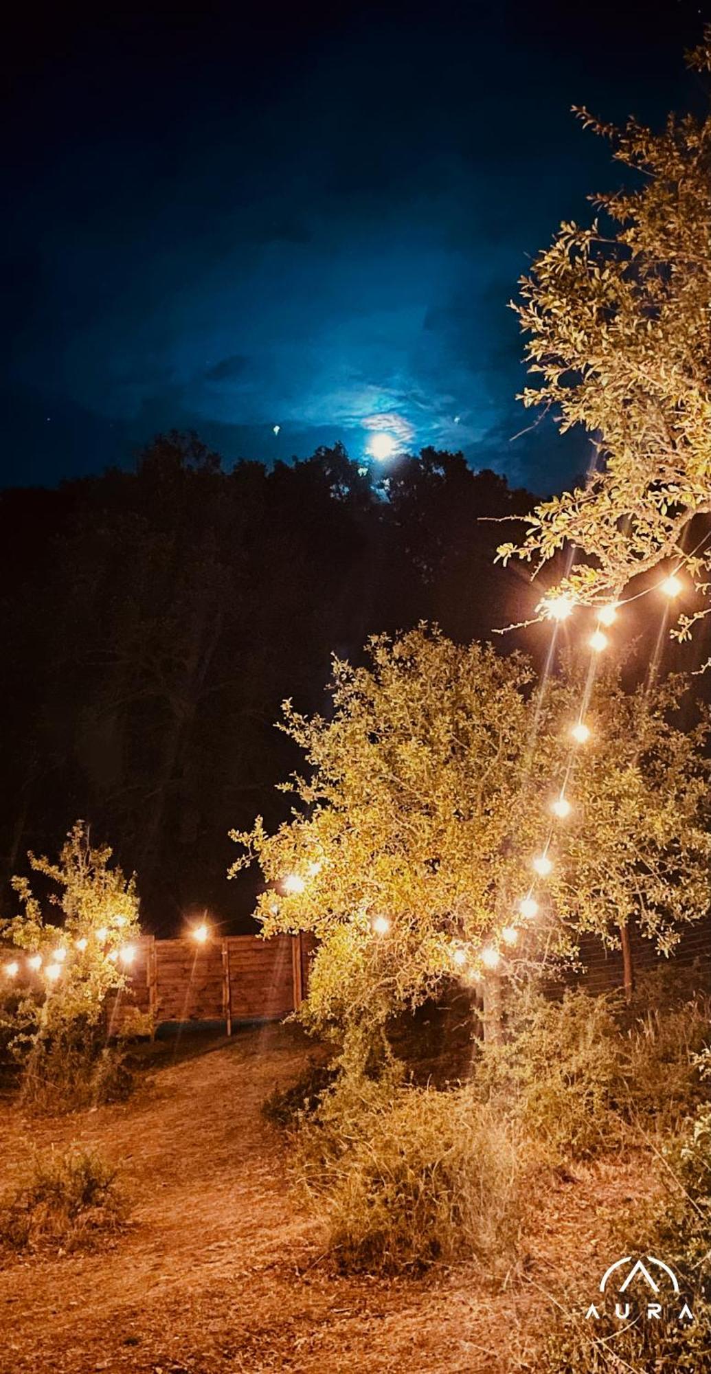 Aura - Glamping Experience Hotel Accettura Екстериор снимка