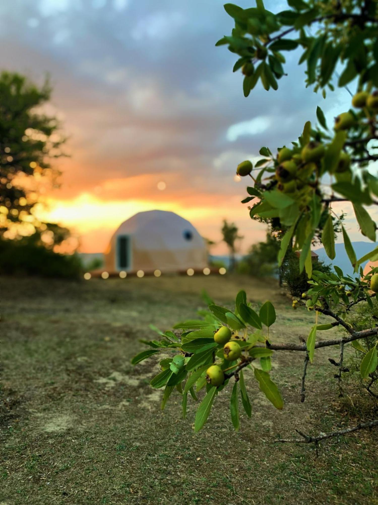 Aura - Glamping Experience Hotel Accettura Екстериор снимка